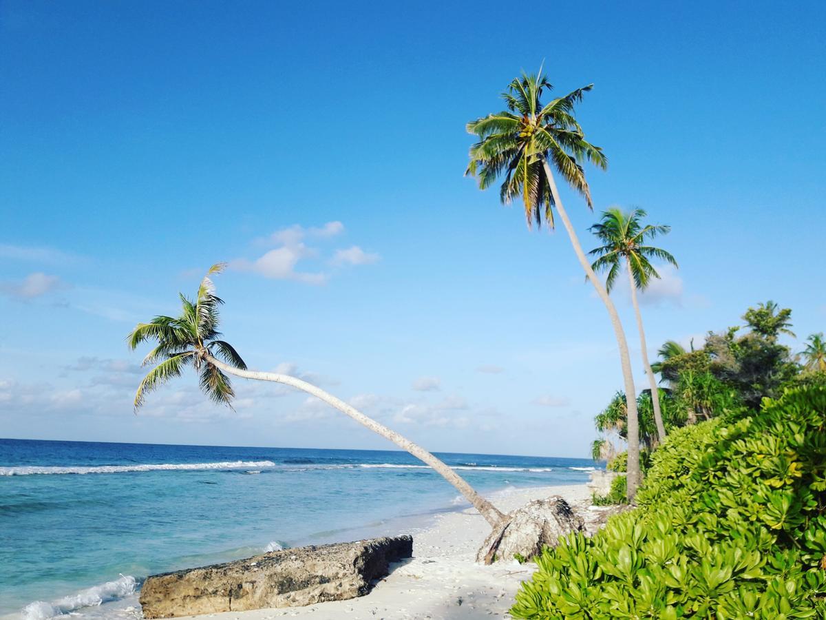 Charming Holiday Lodge- Addu Atoll Meedhoo, Maldives Exteriör bild